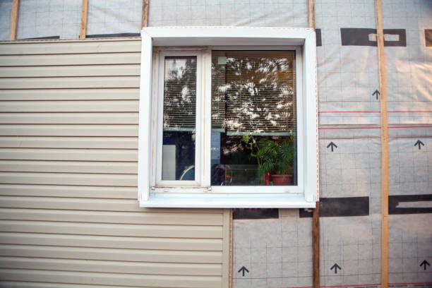 Best Furniture Removal  in Dillon, MT