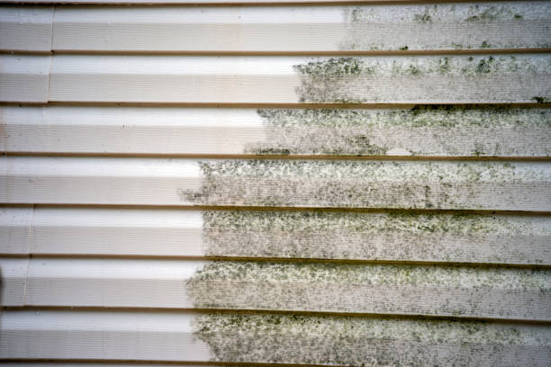 Best Construction Debris Removal  in Dillon, MT
